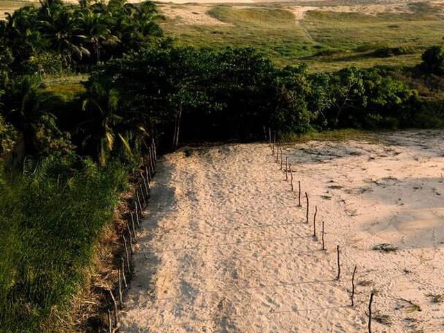 Área para Venda em Trairi - 3