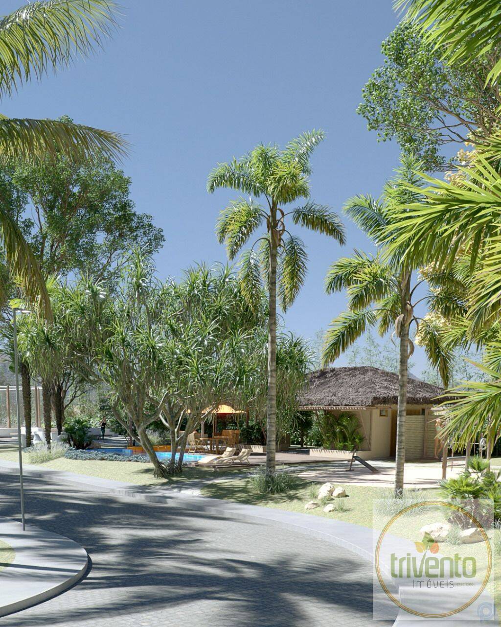 Terreno - Foto 4