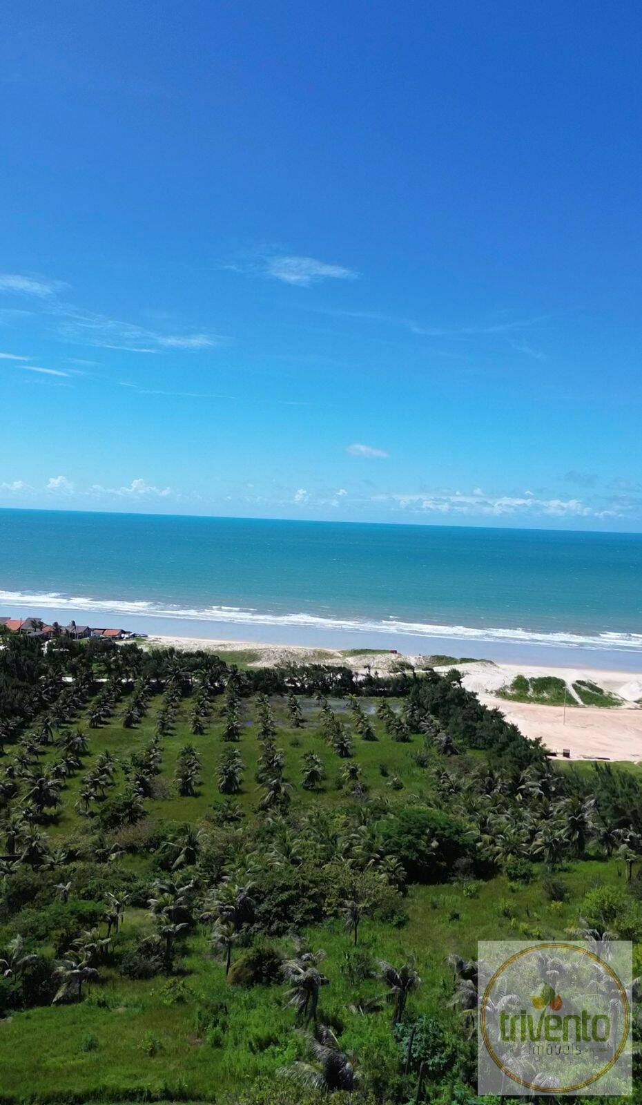 Terreno - Foto 4