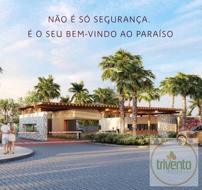 Terreno - Foto 4